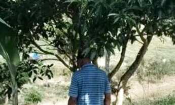 Imagem 5: Chácara Chácara com venda por R$130.000