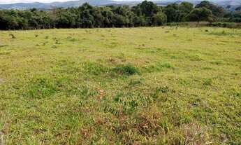 Imagem: Chácara 500m plana, C/água e luz em Igarapé