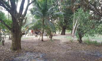 Imagem 5: Terreno 75x300 Casa+Poço Artesiano! - CASTANHAL PA