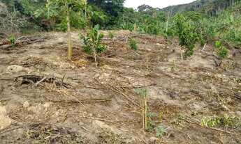 Imagem 2: Vendo Imóvel Rural - 4,8 hectares