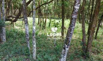 Imagem 2: Área à venda, 5508 m² por R$ 650.000,00 - Sorocamirim - São Roque/SP