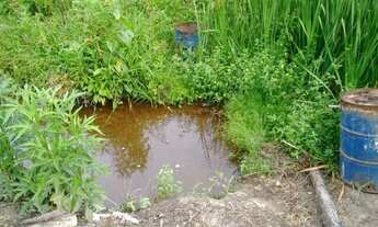 Imagem 5: Vendo Imóvel Rural - 4,8 hectares