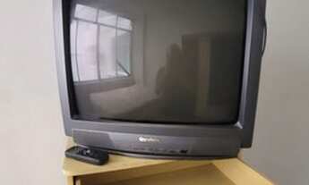 Imagem: Botafogo temporada