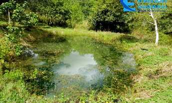 Imagem 3: Sítio de terra de cultura vermelha, ideal para lavoura ,pecuária e lazer, com 38,72 hectar