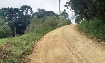 Imagem 7: Excelente Chácara Sem Benfeitorias