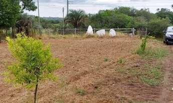 Imagem 7: Lindo sítio com casa, todo arborizado próximo do asfalto em Águas Claras