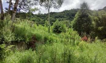 Imagem 4: 2,4 hectares em pasto com casa modesta