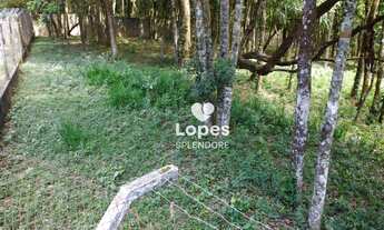 Imagem 3: Área à venda, 5508 m² por R$ 650.000,00 - Sorocamirim - São Roque/SP