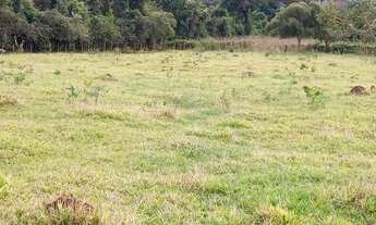 Imagem 8: Chácara 500m plana, C/água e luz em Igarapé no Vilarejo Varginha. Ac. carro e financio