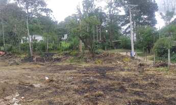 Imagem 4: Terreno plaino dívisa são Lourenço 32 mil reais