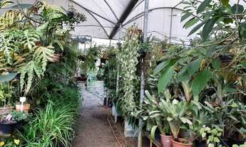 Imagem 7: Ponto comercial floricultura com cafeteria em Itatiba - SP