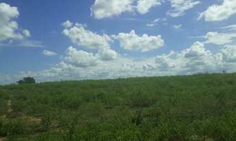 Imagem 4: Fazenda com 570 hectares entre serra caiada e ganhará
