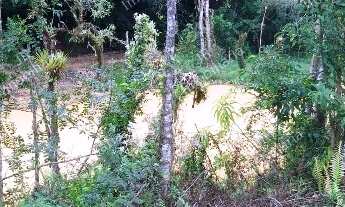 Imagem 5: Excelente Chácara Sem Benfeitorias