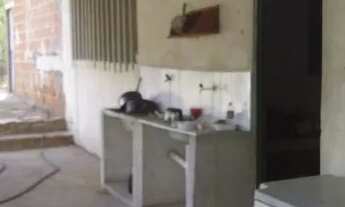 Imagem 5: VENDE-SE SÍTIO( TERRENO