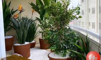 Imagem 4: São Paulo - Apartamento Padrão - Paraíso