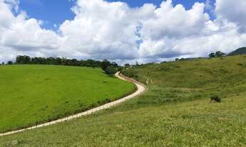 Imagem 4: Vendo excelente fazenda no entroncamento de São Miguel das matas