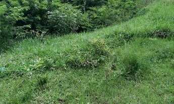 Imagem 4: TERRENO EM BASILIO SUBIDA DE BRAÇANA