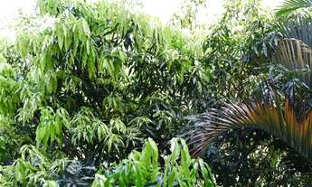 Imagem 7: SQN 402 Maravilhoso Apartamento de 2 q, Reformadissimo, cozinha gourmet com 2 banheiros