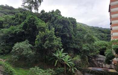 Imagem 2: Laranjeiras maravilhoso conjugado