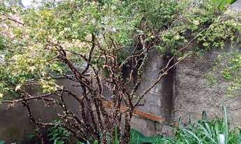 Imagem 6: Terreno de rua em zona mista, toda murada