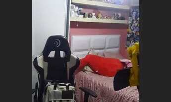 Imagem 3: Apartamento de 3 dormitórios com vaga rotativa no bairro Cristal