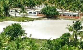 Imagem 2: Vendo Terreno Ilha do Contrato ( Igrapiuna Ba