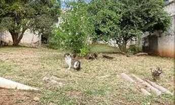 Imagem: Lote/Terreno para venda com 300 metros quadrados