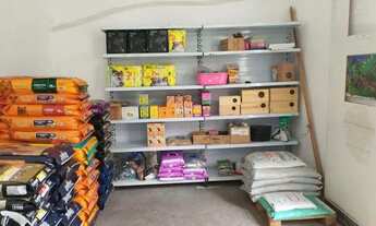 Imagem: Vende-se Pet Shop e Aviario