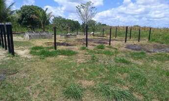 Imagem 6: Vende-se Sítio - Inhambupe - Bahia