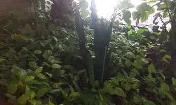 Imagem 1: Apartamento para venda com 78 metros quadrados com 2 quartos