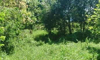 Imagem 6: Excelente sítio