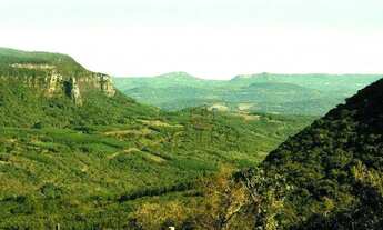 Imagem 4: Terreno na RS-235 em Canela!