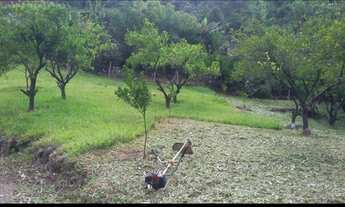 Imagem: Chácara ótima localização vila Cristina