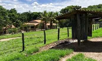 Imagem 7: Fazenda 32.5 alqueires, excelente para pecuária!