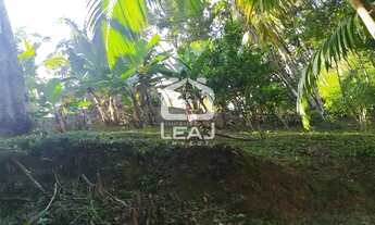 Imagem 3: Porteira fechada! Amplo sítio à venda, no Filipinho, Embu-Guaçu, SP por R$ 520.000,00. Não