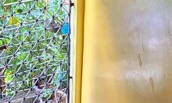 Imagem 4: Aluguel Casa com 2 dormitórios