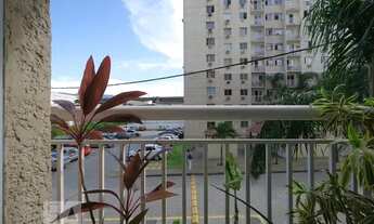 Imagem 4: Apartamento para Aluguel - São Cristóvão, 2 Quartos, 50 m2