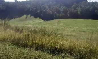 Imagem 6: LINDO SITIO 5 ALQUERES E MEIO, 133 MIL M², A 4 KM DA RODOVIA DO XISTO, MARIENTAL CONTENDA