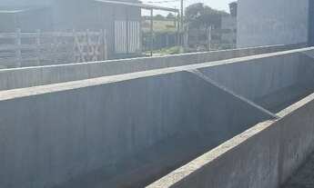 Imagem 6: Granja com 17 hectares na região de mente Alegre