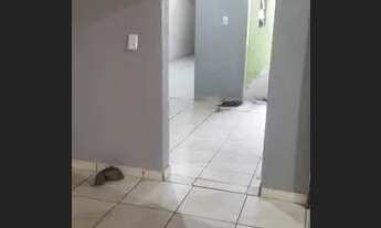 Imagem 6: Agio casa 3 qtos Qr 407 samambaia norte