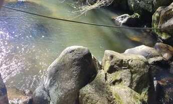 Imagem 2: Vendo de barbada terreno na zona rural!