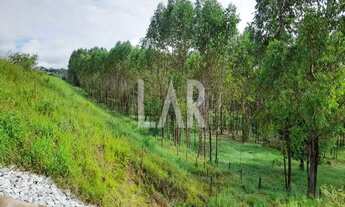 Imagem 3: Lote - Terreno à venda, Centro - Juatuba/MG