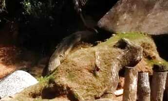 Imagem 4: Chácara em Estrada Alípio Leme - Olho DÁgua - Mairiporã/SP