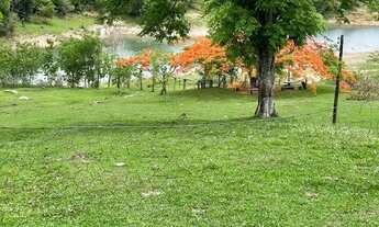 Imagem 7: Sítio em cascalho rico