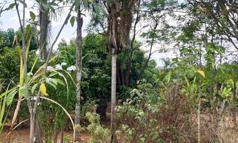 Imagem 5: CHÁCARA , CINCO MIL METROS ,QUADADOS NA RAJADINHA I A VENDA