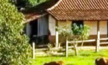 Imagem 3: Fazenda de Gado, Milho, Laranja, Camarão...