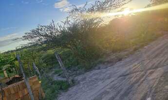 Imagem 2: Terreno próximo do aeroporto vendo troco