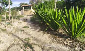 Imagem 4: Terreno em Taquaraçu de Minas