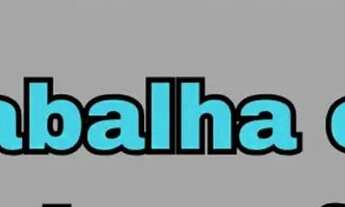 Imagem 7: Fazenda de Gado, Milho, Laranja, Camarão...