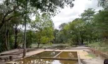 Imagem: Venda de chácaras, Sítio